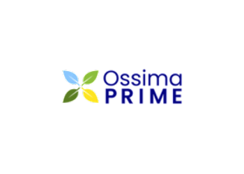 Ossima Prime Business Directory Logo.png