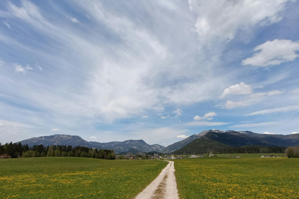 Blog  Stacey pic.png