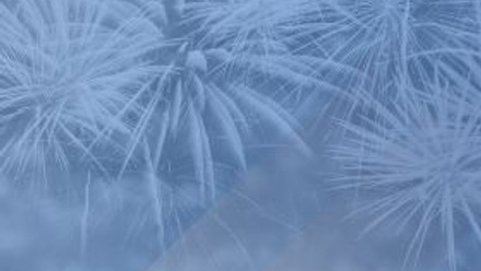 Fireworks Newsletter Featured Images (2).jpg