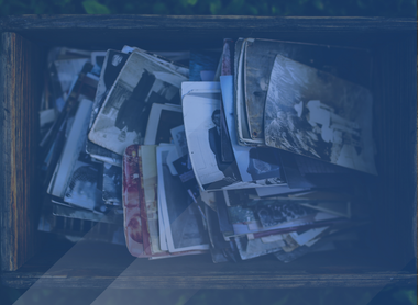 Website  Images.png 1
